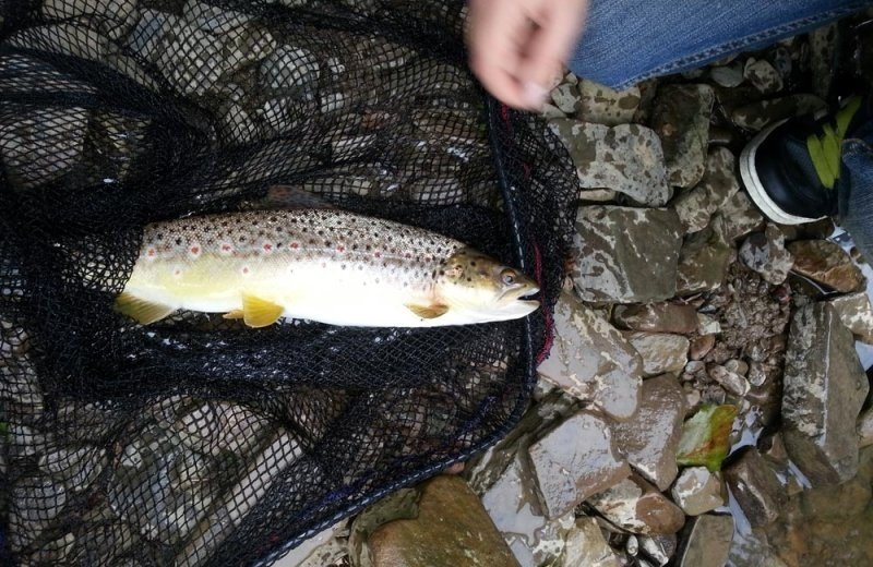 Vissen camping luxemburg